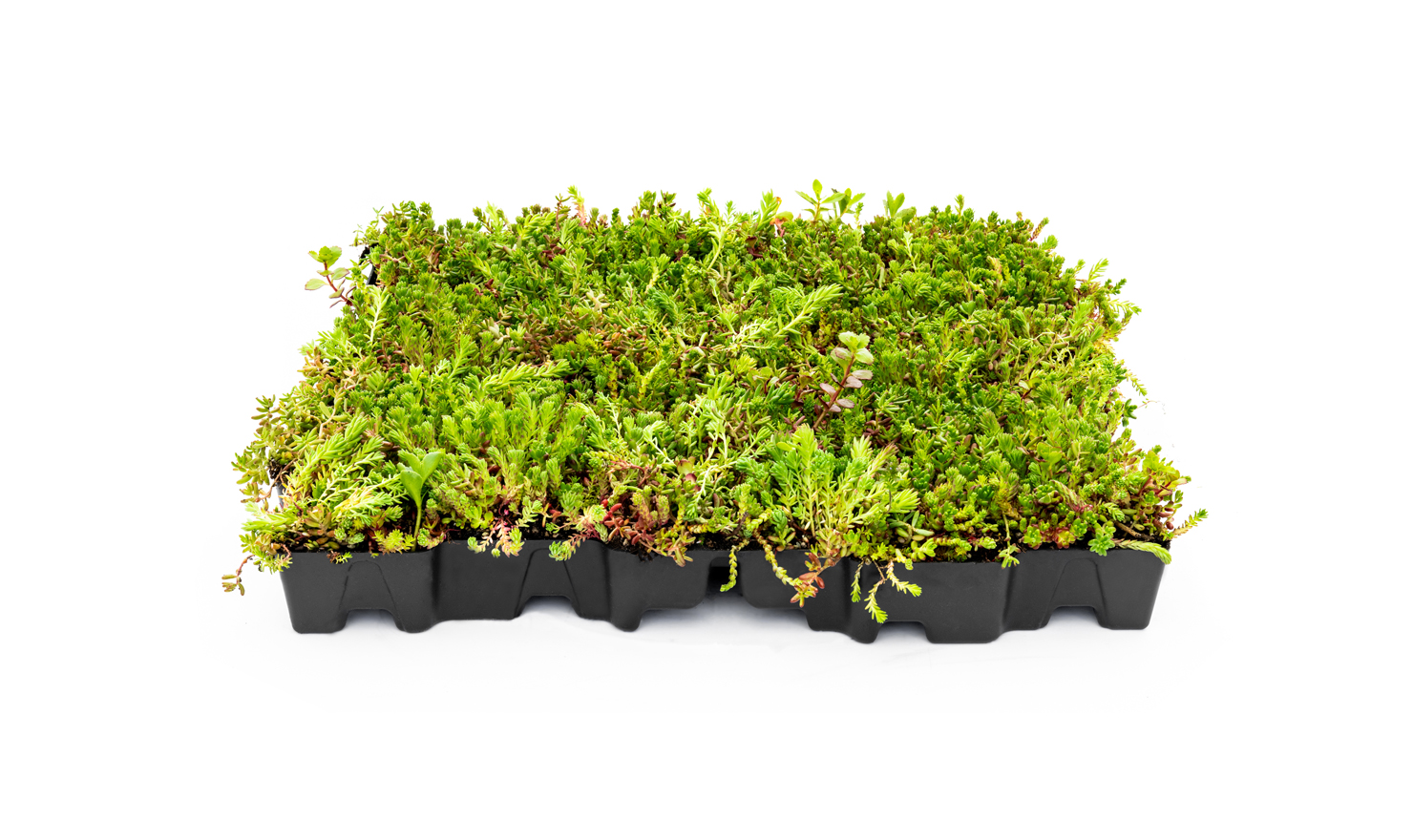 Green MobiRoof Eco - Set of 4